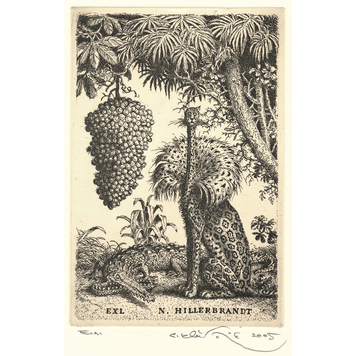 EXL N.Hillerbrandt