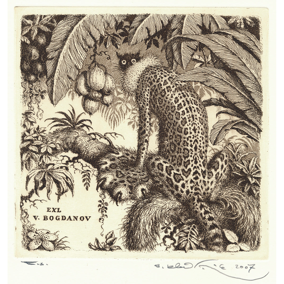 EXL V. Bogranov