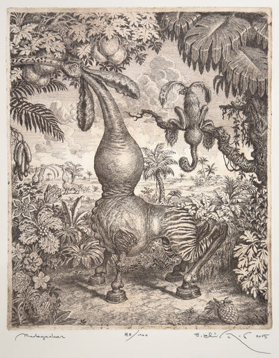 Madagaskar