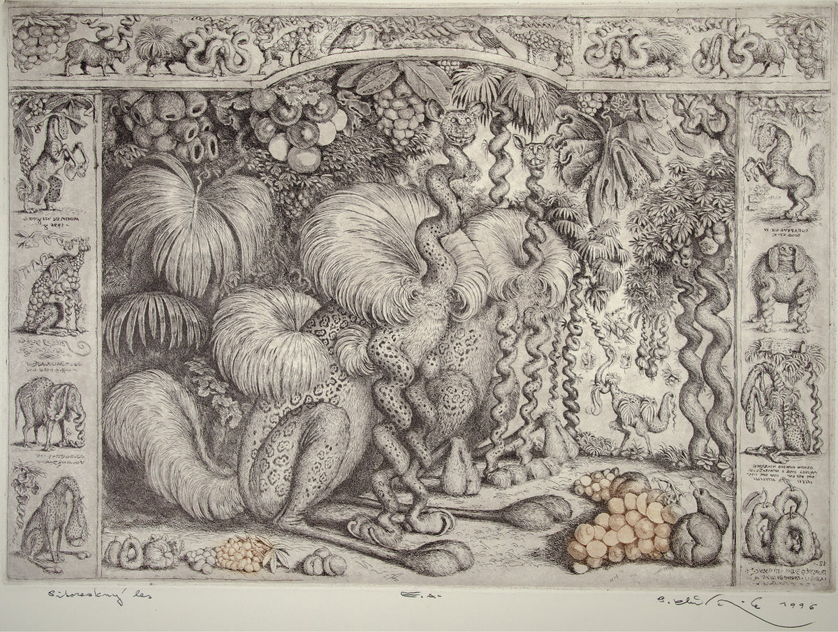 Peter Kľúčik - Pitoreskný les - obrazy - grafika - lept