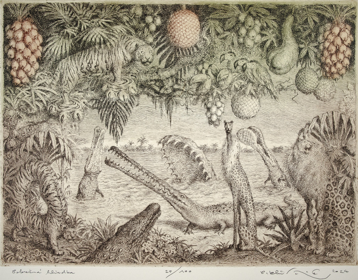 Peter Kľúčik - Pobrežná hliadka - obrazy - grafika - lept